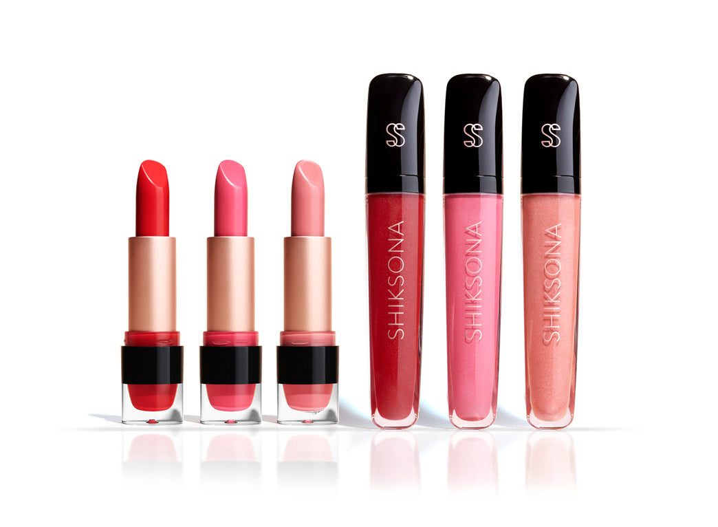 ShikSona On-The-Go Lipstick and Lipgloss Kit